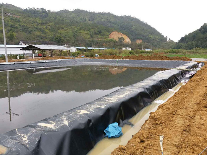 魚(yú)塘里用土工膜做防滲層需不需要回填土壤？